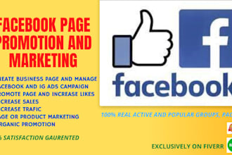 do page promotion, marketing and manage facebook business page