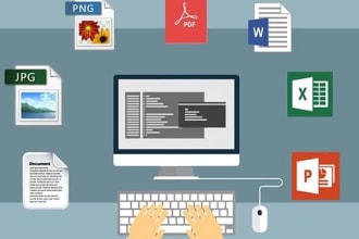 do typing , form filling and files conversion  job in professional way