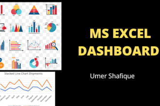 creat attractive dashboard and data visualization in 24 hrs