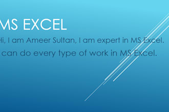 do any type of assignment on ms excel