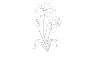 draw botanical and flower one line art illustration in 6 hours