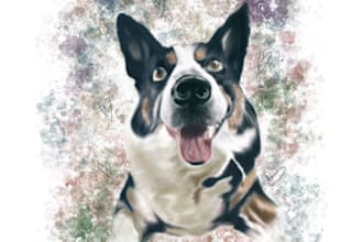 create digital pet portraits
