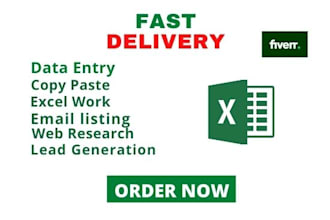 do data entry,web research,lead generation and copy paste