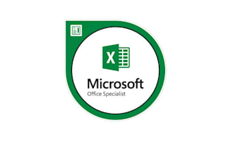 enter your data for spreadsheets and organize via excel