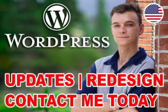 do custom updates for your wordpress website