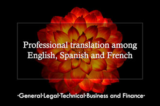 translate into en, fr, spa fastly and accurately