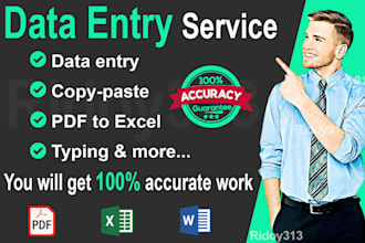 do data entry, typing, copy paste, excel data entry, scraping, PDF to excel