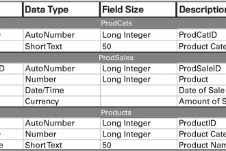 do airtable data entry in 24 hours