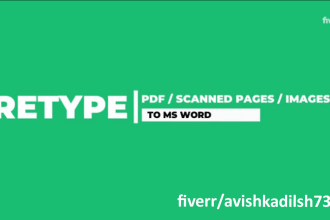 do a fast typing job, retype scanned pages, pdf to word, pro typist