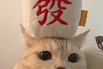 proofread and edit chinese texts and articles in 24hr good at creative writing