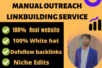 do SEO niche edit backlinks through blogger outreach service