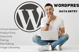 do perfect wordpress data entry