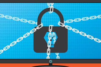 do web application penetration testing