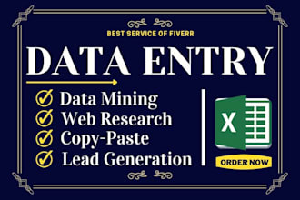 do data entry typing work in excel spreadsheet
