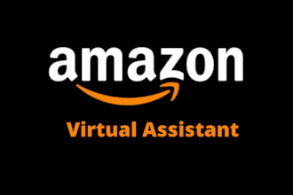 be your expert amazon virtual assistant, expert pl va