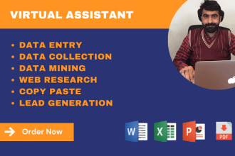 be your VA for data entry, data mining, and web research