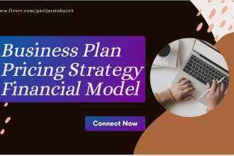 create business plan, pricing strategy and financial model