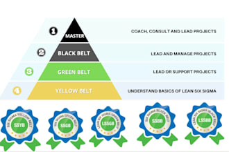 provide six sigma green black lean belt training