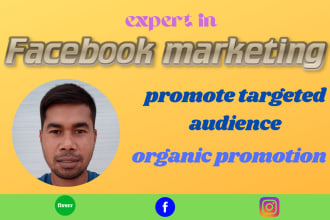 do your facebook marketing in targeted audience USA