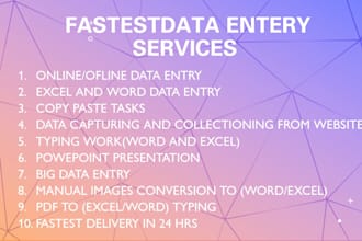 do the fastest and lowest data entry in one day