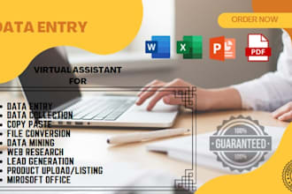 do data entry, copy paste, product entry and web research swiftly