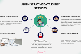 provide quality data entry and virtual assistance