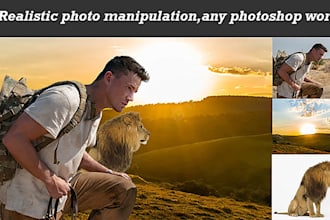 do professional photoshop editing 15 image only