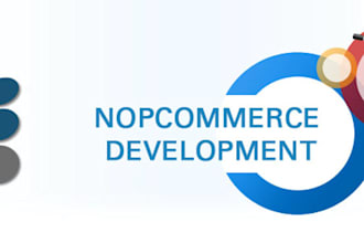 asp dot net nopcommerce development
