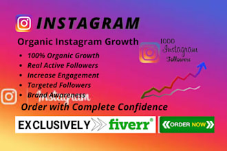 do promotion instagram with organic growth