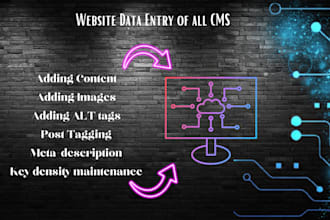 do superb website data entry of all cms
