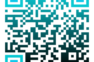 make a professional qr code for you