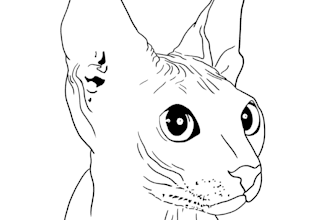 create minimalistic line art animal drawing