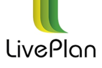 write a business plan or strategic plan in liveplan