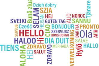 translate anything from bosnian, german, croatian or slovene