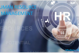 do human resource management, research, and projects