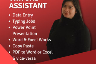do data entry, typing, copy paste, excel data entry, word to PDF, excel to PDF
