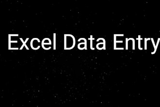 do excel data entry