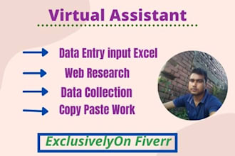 your virtual assistant, data entry, web research job
