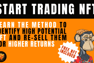 teach you to identify and flip profitable nft collections