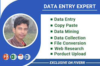 do data entry, copy paste, web research and product upload