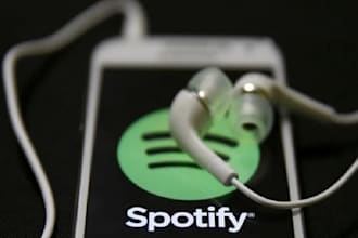 provide netherlands  music promotion, spotify track