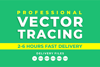 manual vector trace or convert image to vector