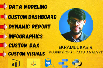 build a power bi dashboards with unique and interactive visuals