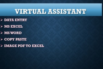 do data entry typing work,data collection and copy paste job