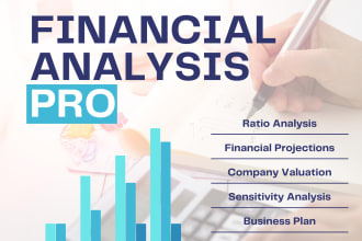 provide financial analysis, projections, business valuations