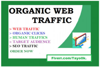 drive targeted USA, switzerland, italy, german web traffic to your website