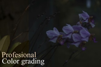 color grading your photos professionally and quickly