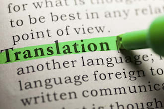 do professional translation transcription