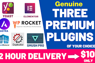 install any wordpress premium themes and premium plugins