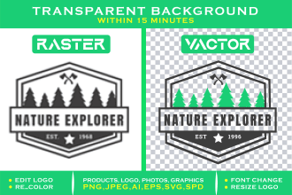 edit, redesign, make transparent, vectorize your logo